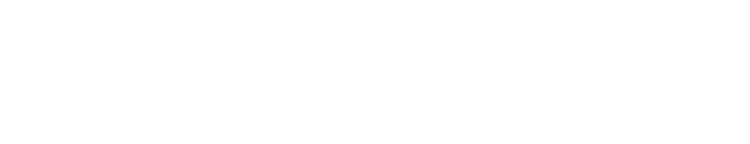 sr-partner-br-solutions-light