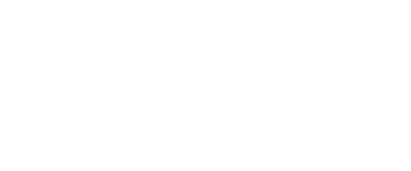 sr-partner-gpa-light