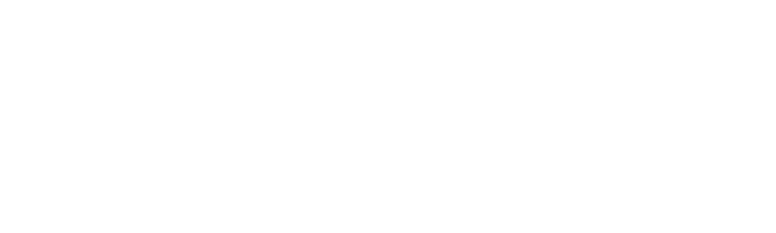 sr-partner-ibeco-light